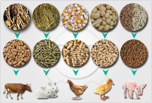 Animal_Nutrition_Market