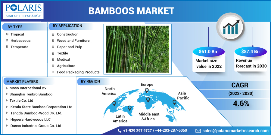 Bamboos_Market10