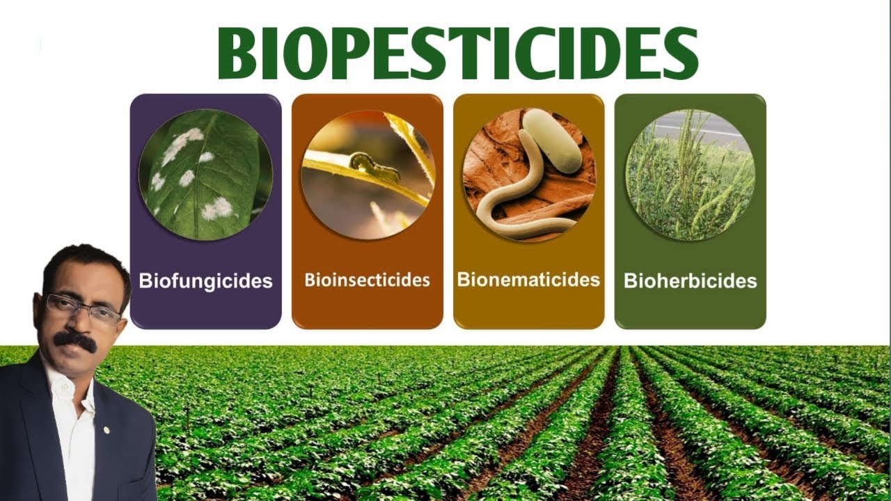 Biopesticides