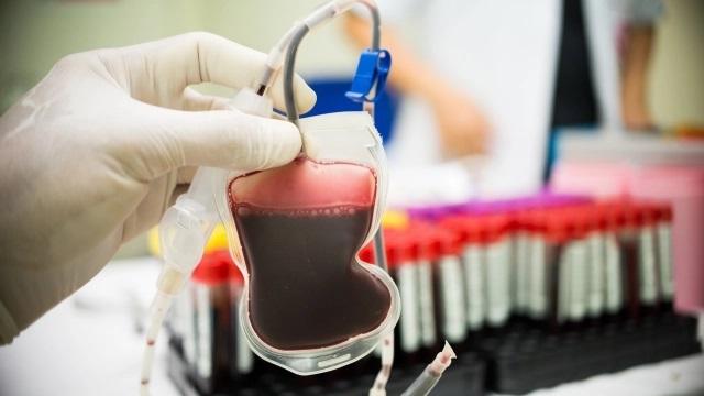 Blood_Transfusion_Diagnostics
