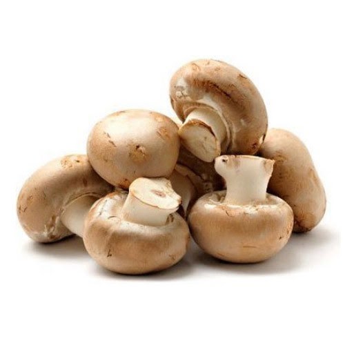 Button_Mushroom