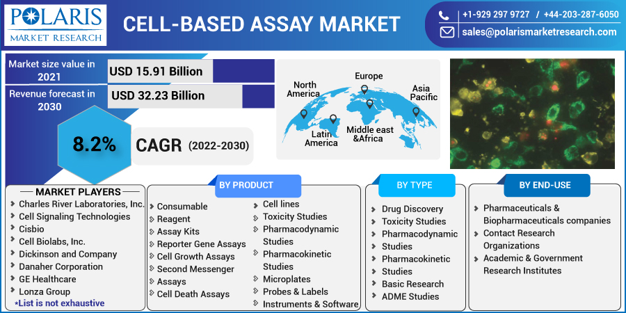 Cell-based_Assay_Market5