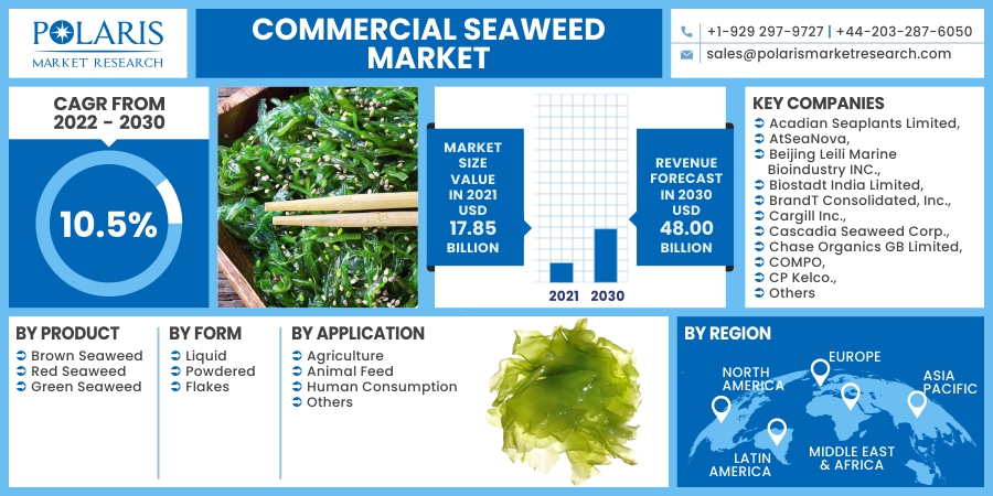 Commercial_Seaweed_Market12