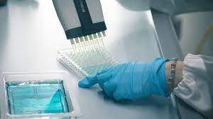 Enzyme_Linked_Immunosorbent_Assay_(ELISA)_Testing