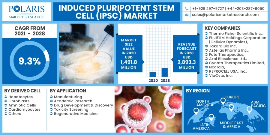 Induced-Pluripotent-Stem-Cell-iPSC-Market10