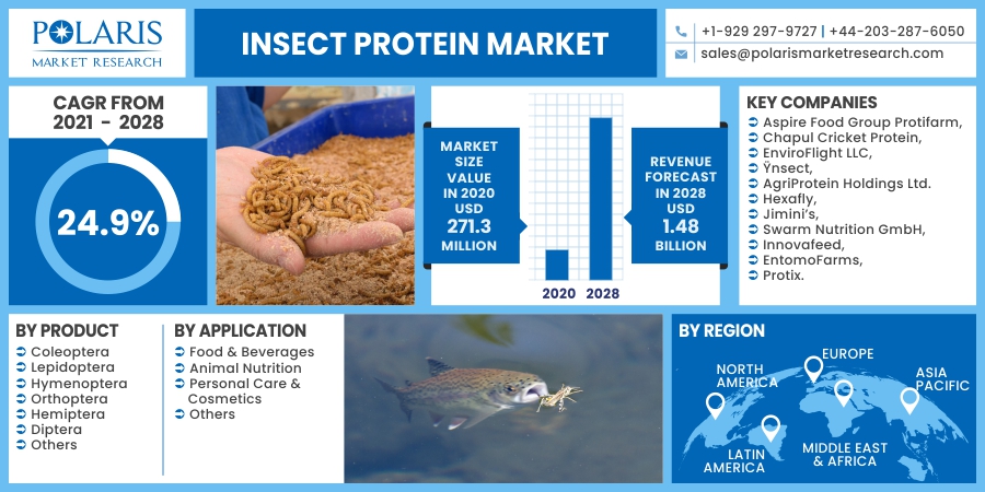 Insect_Protein_Market20