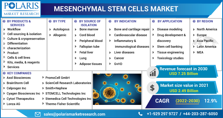 Mesenchymal_Stem_Cells_Market-01