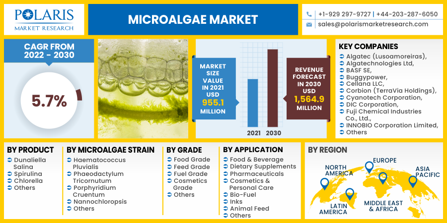 Microalgae_Market20