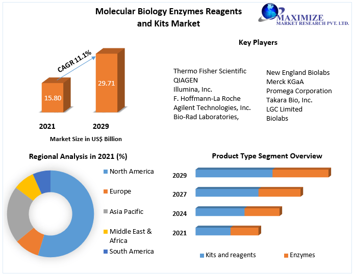 Molecular-Biology-Enzymes-Reagents-and-Kits-Market