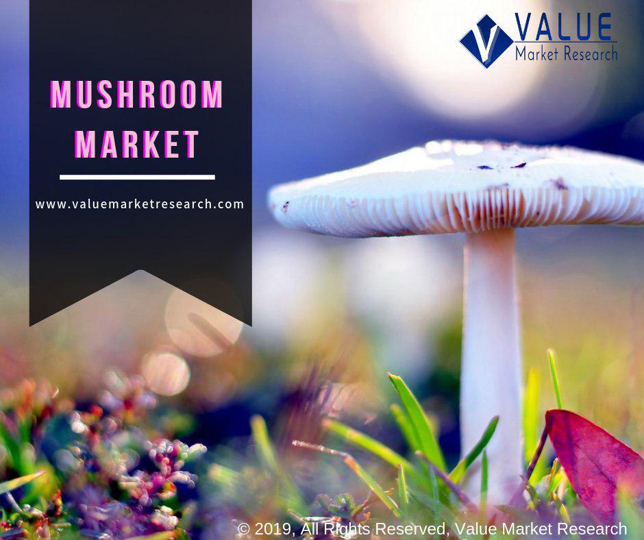 Mushroom_Market