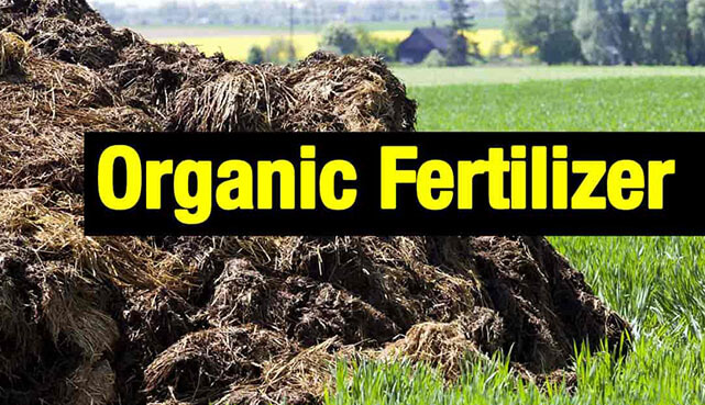 Organic_Fertilizers