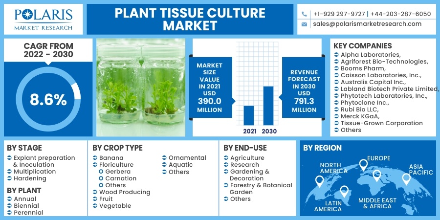 Plant_Tissue_Culture_Market5