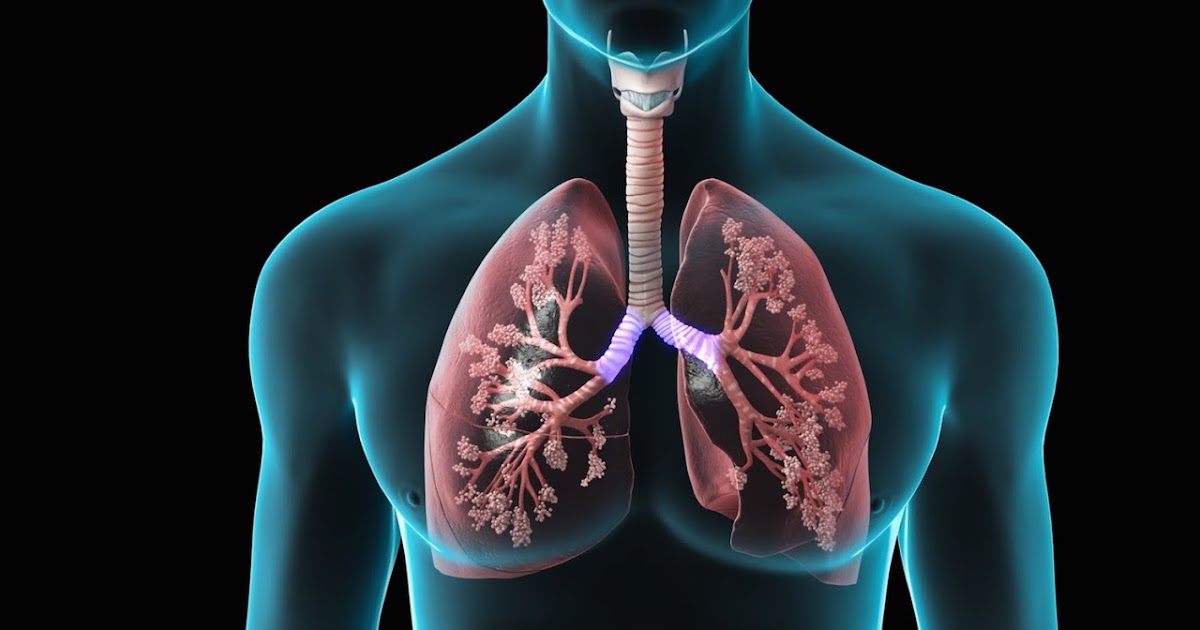 Pulmonary_Drug_Delivery_Devices