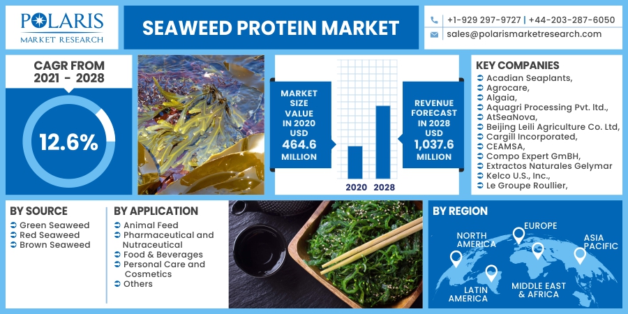 Seaweed_Protein_Market6