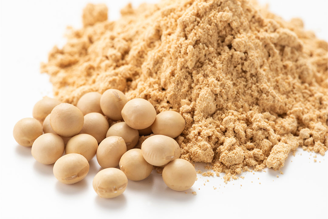 Soy_Protein_Concentrate_For_Animal_Feed