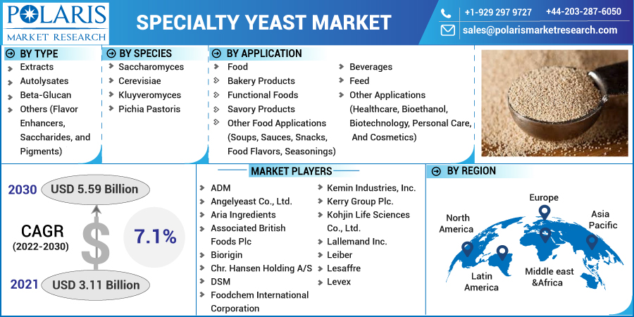 Specialty_Yeast_Market-0116