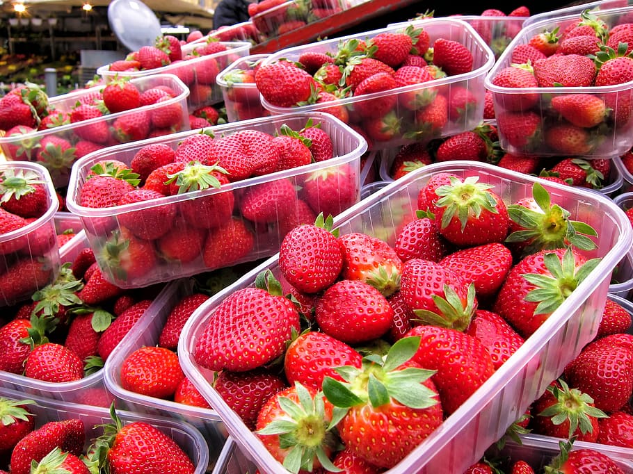 Strawberry_Filling_Market