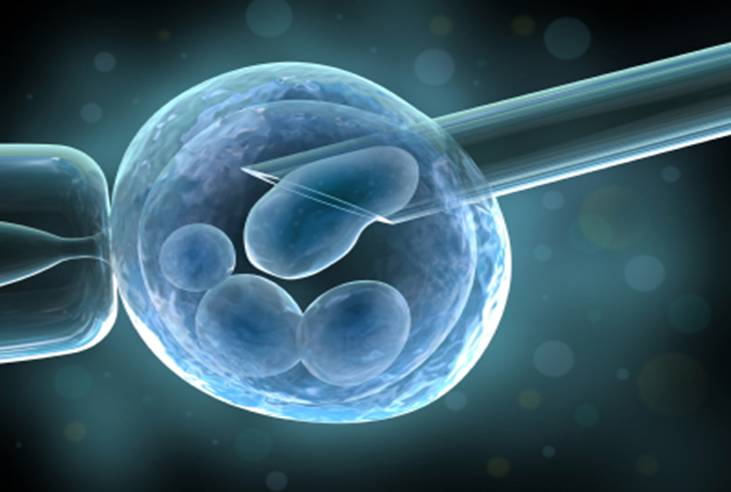 Synthetic_Stem_Cell