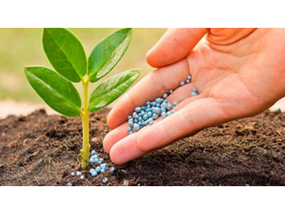 Agricultural_Micronutrients_Market