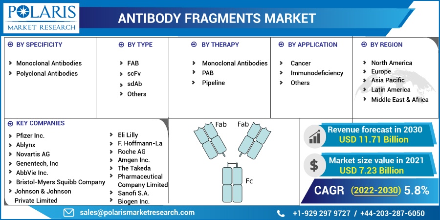 Antibody_Fragments_Market1
