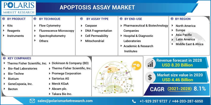 Apoptosis_Assay_Market14