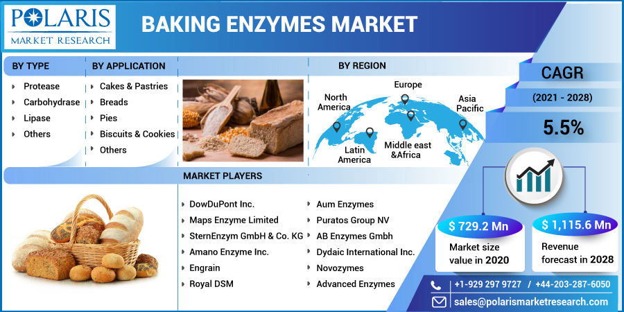 Baking_Enzymes_Market-01