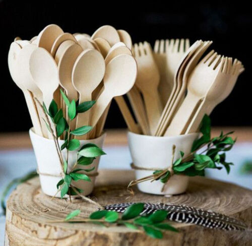 Biodegradable_Cutlery