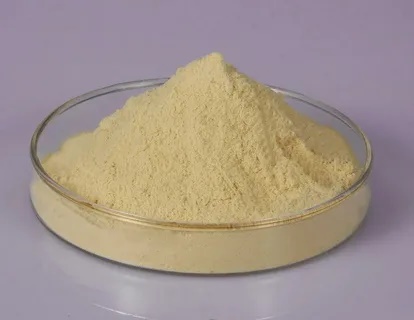 Casein_Peptone1