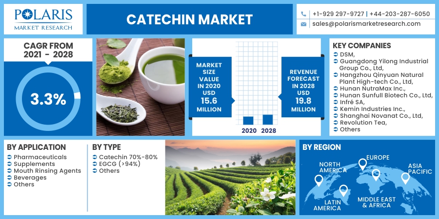 Catechin_Market7