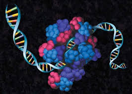 Cell_Free_Protein_Expression