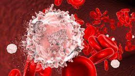 Chronic_Lymphocytic_Leukemia_Therapeutics_Market