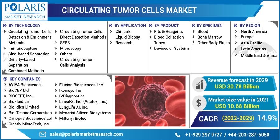 Circulating Tumor Cells Market4 