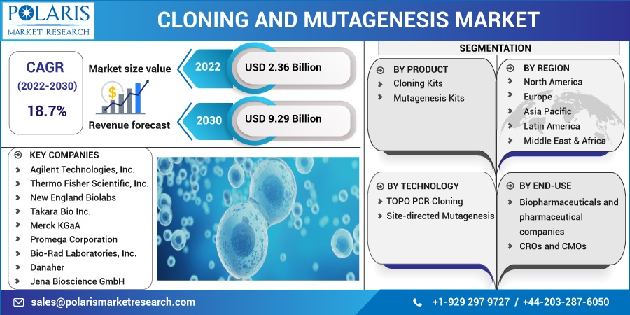 Cloning_and_Mutagenesis_Market1