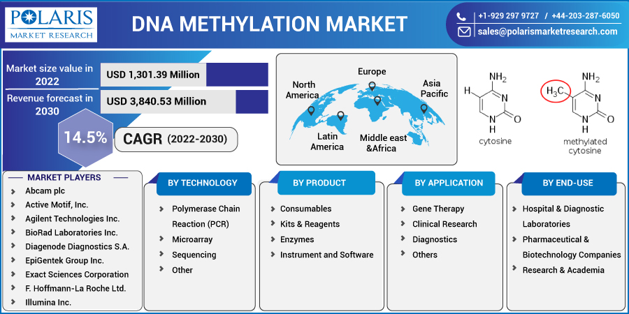 DNA_Methylation_Market13