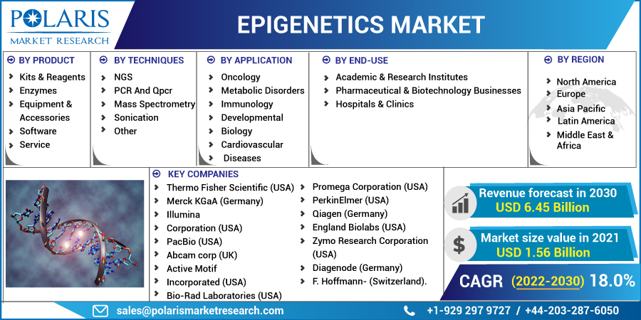 Epigenetics_Market2