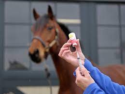 Equine_Healthcare_Market