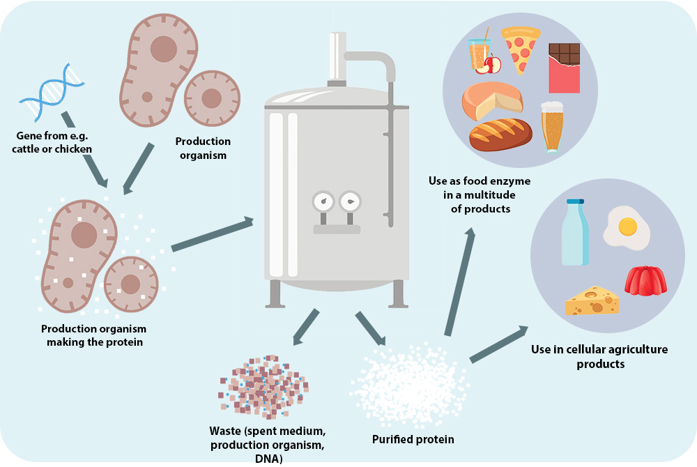 Fig._1_._SCI-Cellular_Ag_Fermentor_Graphic_