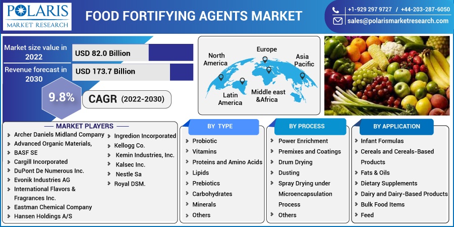 Food_Fortifying_Agents_Market4