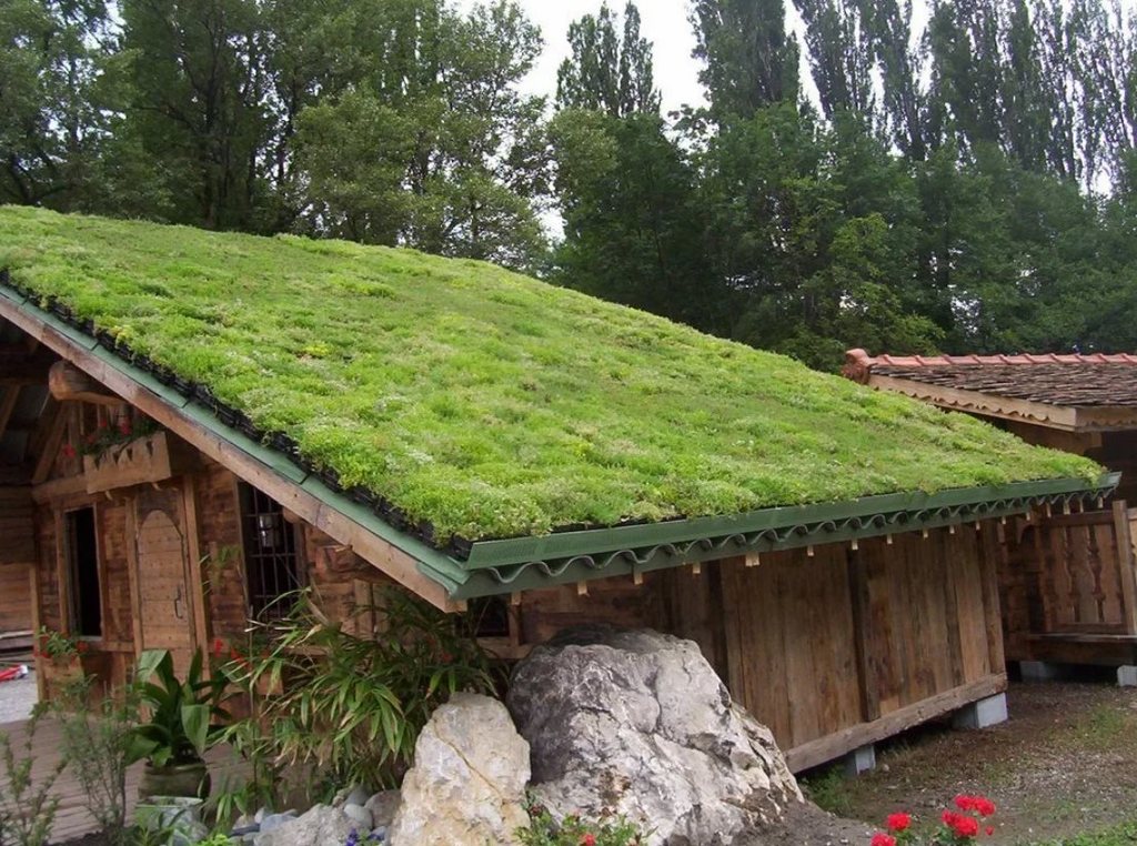 Green-Roof_Market