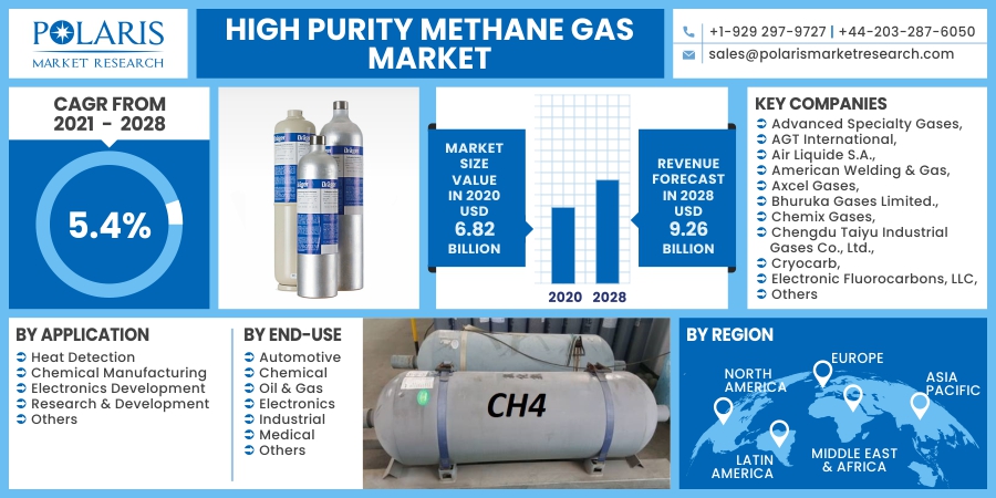 High_Purity_Methane_Gas_Market10