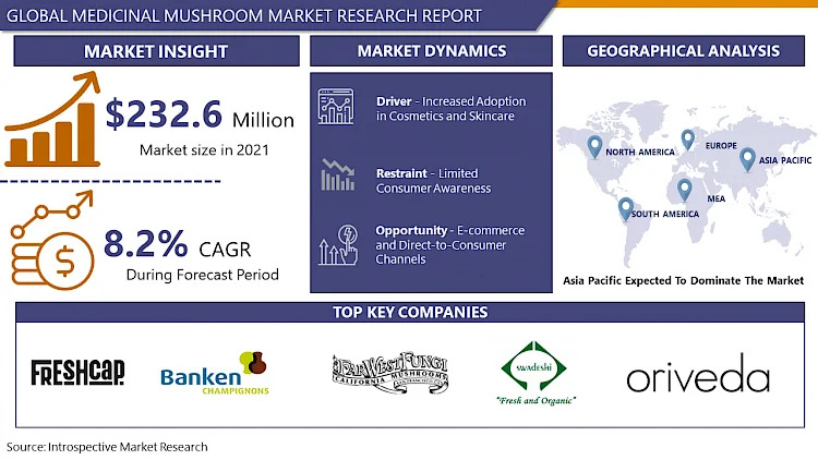 Medicinal_Mushroom_Market