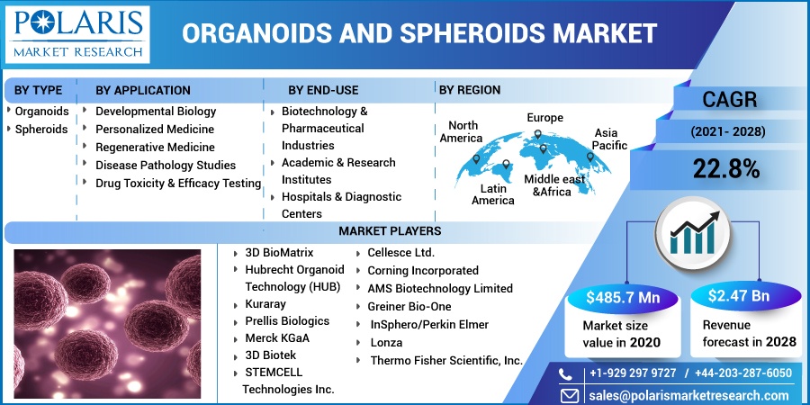 Organoids-And-Spheroids-Market2
