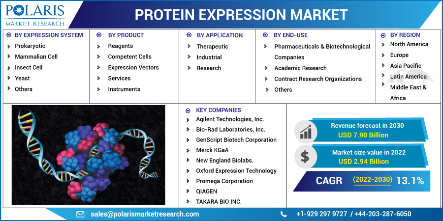 Protein_Expression_Market10