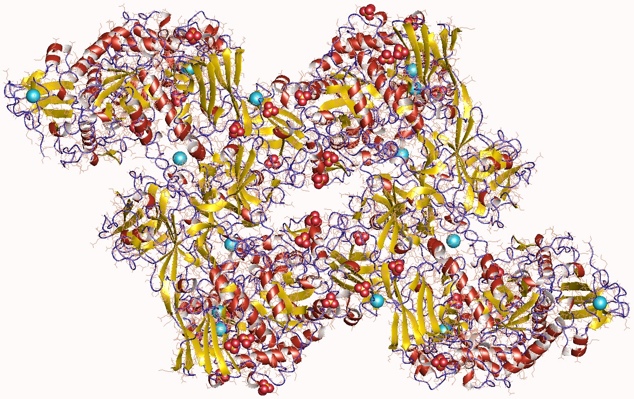 Pullulanase_Market1