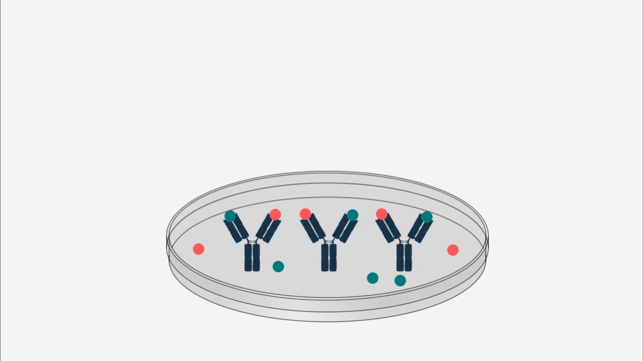 Radioimmunoassay