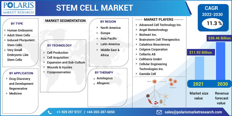 Stem_Cell_Market-0114